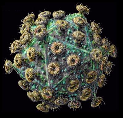AIDS_Virus